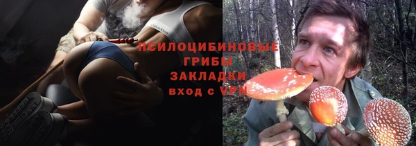 ПСИЛОЦИБИНОВЫЕ ГРИБЫ Балахна