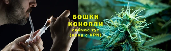 ПСИЛОЦИБИНОВЫЕ ГРИБЫ Балахна