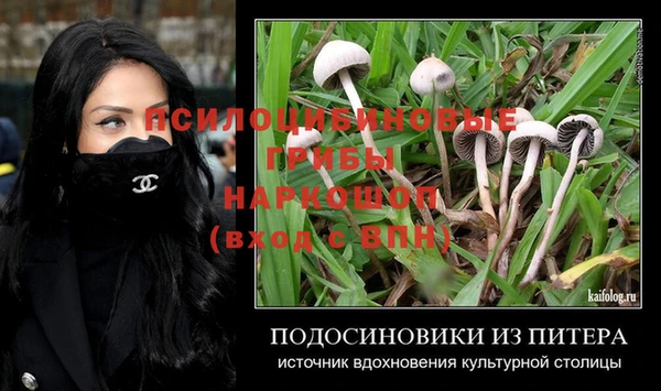 ПСИЛОЦИБИНОВЫЕ ГРИБЫ Балахна