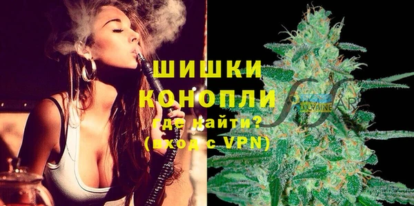 стаф Баксан
