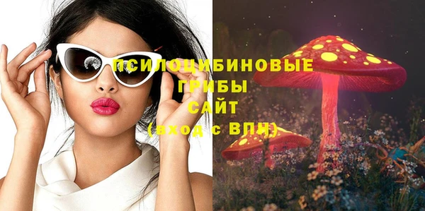 соль ск Аркадак
