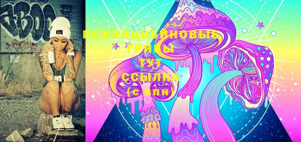 ПСИЛОЦИБИНОВЫЕ ГРИБЫ Балахна