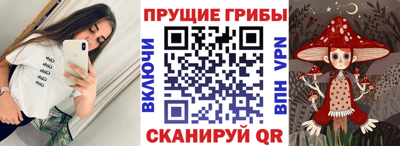 darknet какой сайт  Белогорск  Галлюциногенные грибы MAGIC MUSHROOMS 